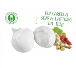MOZZARELLA S/LATTOSIO 125GR