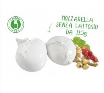 MOZZARELLA S/LATTOSIO 125GR