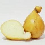 CACIOCAVALLO AFFUMICATO 2KG FIASCHETTO