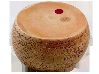 GRANA PADANO FORMA 33KG STAG