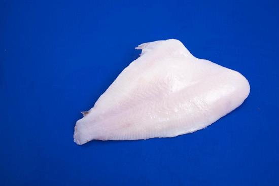 FIL.HALIBUT 200/400 IQF S/P C. 20%GL