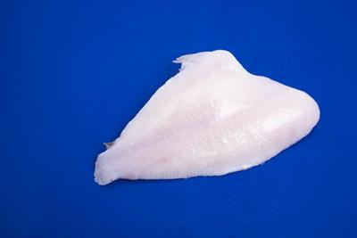 FIL.HALIBUT 200/400 IQF S/P C. 20%GL