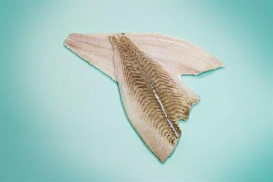 FIL.PLATESSA N.2 S/P 150/200gr 30% surg.