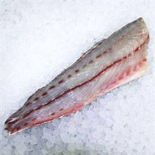 FIL.OMBRINA (CROAZIA) NOS IQF C.P. NETTO (no spanciati)