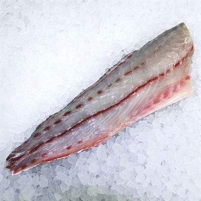 FIL.OMBRINA (CROAZIA) NOS IQF C.P. NETTO (no spanciati)