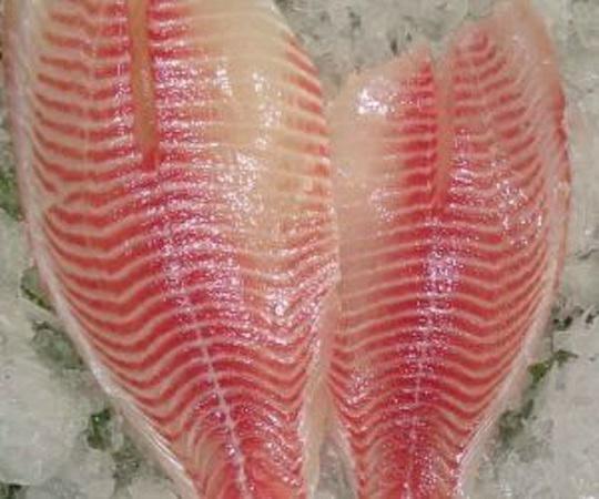 FIL.TILAPIA 140/200 IQF (10X800GR) KG10 IQF C.