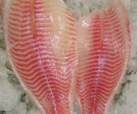 FIL.TILAPIA 140/200 IQF (10X800GR) KG10 IQF C.