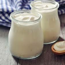 YOGURT DI BUFALA 500GR
