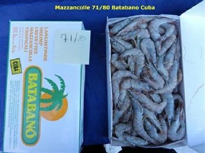GAMBERI CUBA 60/80 SELV/MARE 0%GL.C.k10