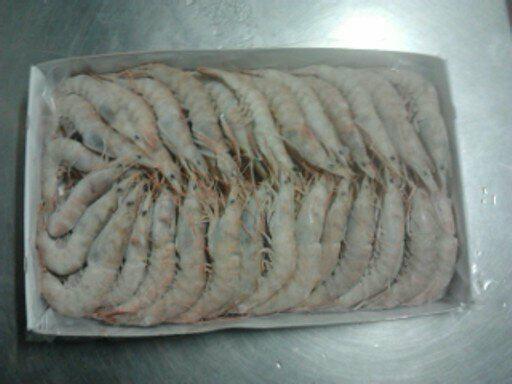 GAMBERI TUNISIA BORDO M0 10/15 12X1KG netto