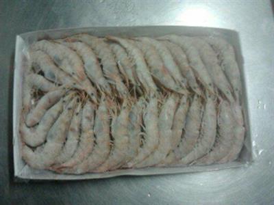 GAMBERI TUNISIA BORDO M0 10/15 12X1KG netto