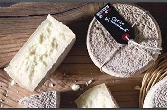 PECORINO CACIO DI FOGLIANO DI FOSSA