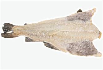BACCALA' SALATO COD (SCELLA) 2700/4000 ISLANDA