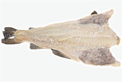 BACCALA' SALATO COD (SCELLA) 2700/4000 ISLANDA