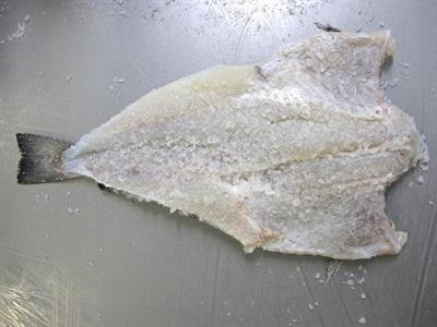 BACCALA' LING SALATO (SCELLA) 4000+ molva molva-ISLANDA-