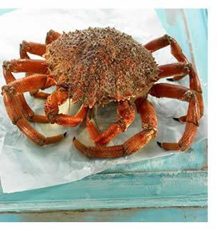 GRANSEOLA FRESCA 500/700 FAO 27      Pesc.Atlantico Nord-Est