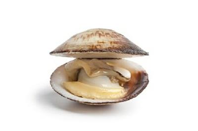 MANDORLE DI MARE