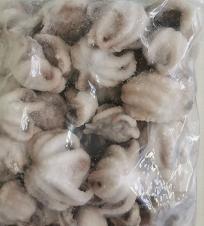 POLIPETTI 13/20 AMULYA PESO NETTO C.KG 5,4 (25C7)