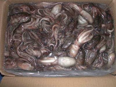 MOSCARDINI GRECIA 150/300 BL.4KG C.