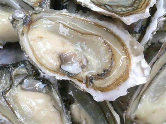 OSTRICHE FRANCIA EX.BRETAGNA Fao 27 (Crassostrea Gigas)