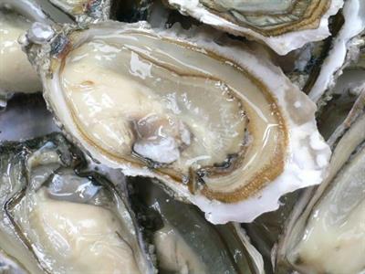 OSTRICHE FRANCIA EX.BRETAGNA Fao 27 (Crassostrea Gigas)