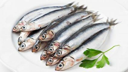 SARDE FRESCHE (Sardina pilchardus) FAO 37