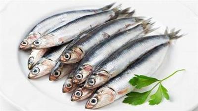 SARDE FRESCHE (Sardina pilchardus) FAO 37
