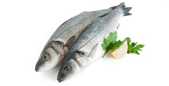 SPIGOLA 7G (dicentrarchus labrax) All. Grecia