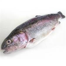 TROTA IRIDEA 'SALMONATA' ITALIA FRESCO (oncorhynchus mykiss)
