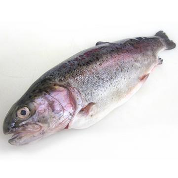 TROTA IRIDEA 'SALMONATA' ITALIA FRESCO (oncorhynchus mykiss)