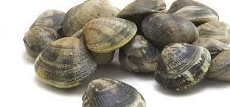ALLETTERATI