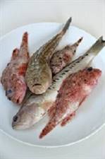 ZUPPA PESCE FRESCA