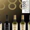 VINO CODA DI VOLPE CL75 CORVINO