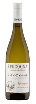FRIULI COLLI ORIENTALI DOC'23sauvignon specogna