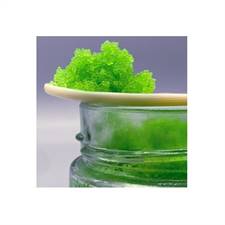 UOVA DI PESCE GREEN 500gr.(TOBIKKO MASAGO)FISHERMAN