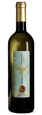 POMPEIANO CODA DI VOLPE IGT CL75 2022