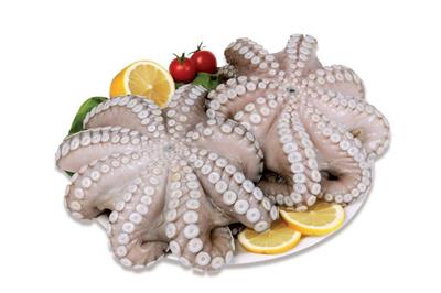 POLPO MAROCCO T2 IQF ONDAMAR K12 C.P.NETTO