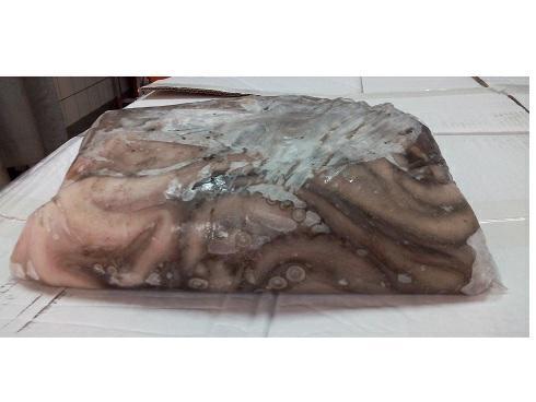 POLPO MAROCCO T6 (S) BL.C.