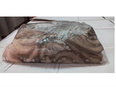 POLPO MAROCCO T6 (S) BL.C.