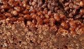 RISO SOFFIATO CIOCCOLATO 1KG D.GOLD