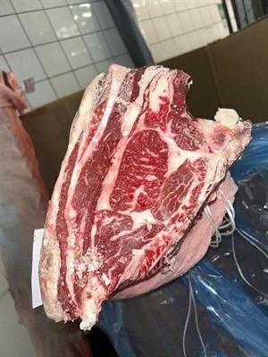 CARRE'PRUSSIAN B.ANGUS SASHI DIAMOND 25+ (JN)