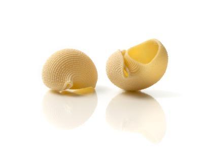 LUMACONI VICIDOMI KG.1