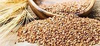 GRANO SARACENO 500 gr LO CONTE