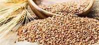 GRANO SARACENO 500 gr LO CONTE