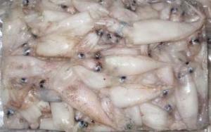 CALAMARELLE 3/5 BL.900gr C. WHITE