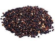 SEMI DI QUINOA NERA GR80
