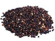 SEMI DI QUINOA NERA GR80