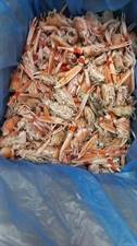 TESTE E CHELE DI SCAMPI SCOZIA IQF