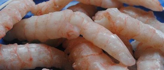 SCAMPI SGUS.16/20 30% K5 IQF