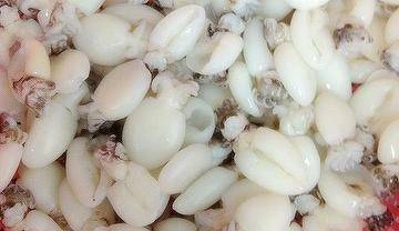 SEPPIE PUL.INDIA.61 UP IQF 800gr.
